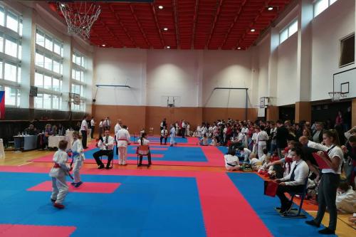 22855610_1869694646375939_1378989624_n