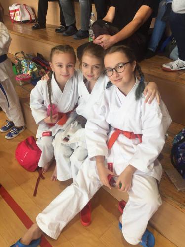 24008524_366241780512698_645051772_n