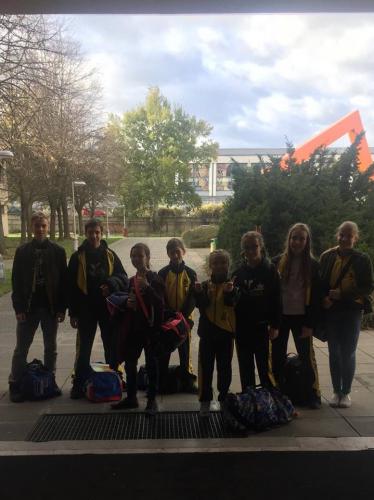 24019898_366241790512697_1590476631_n