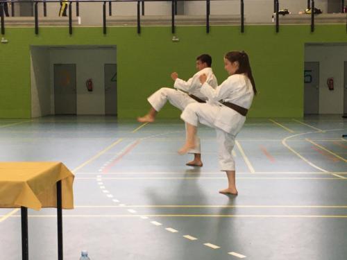 104475167 748799565856188 8685687631540106383 n