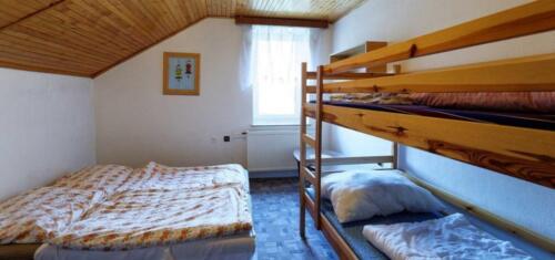 20170410152930 NGfrex