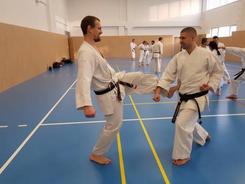 26904156 10156158828001908 7390127575181106888 n