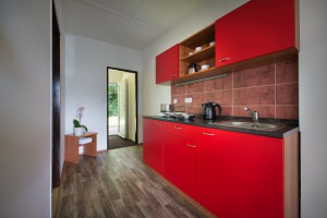 ea hotel kraskov rodinn-i vila kuchy--ka--1-