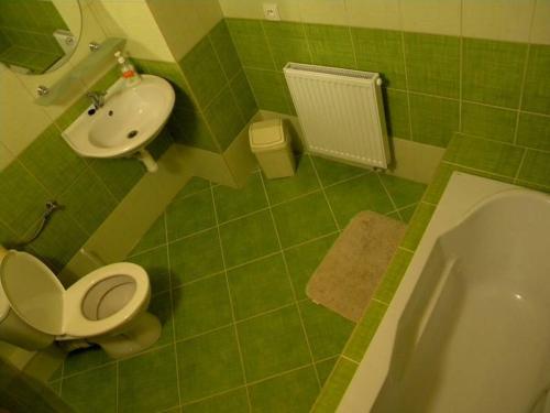 koupelna-petiluzkoveho-apartmanu-76dd-